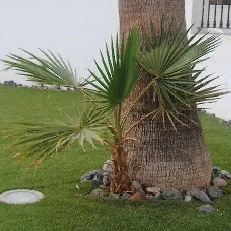 Apartamento Hábitat Tropical